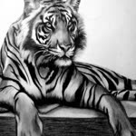 Selcuk