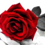Arzu