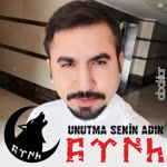 Anar