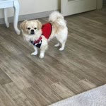 Zeynep