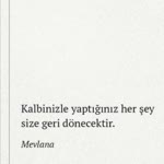 Suzan