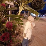 Gül