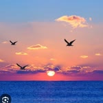 Dogan