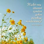 Arzu