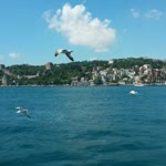 Semih
