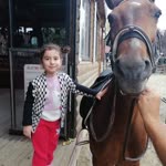 Ersin