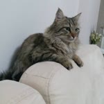 Esma