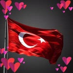 Kamil