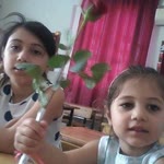 Ergun