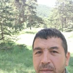 Bulent