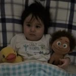 Arif