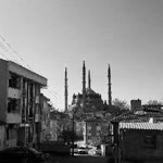 Rabia