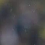 Onur