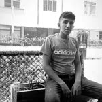 Doğan