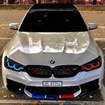 Yigit