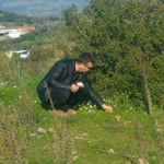Rafi