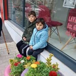 Şükran