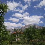 Mustafa