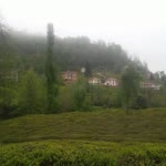 İlknur