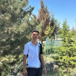Mesut