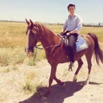 Veysel