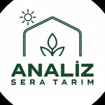 Analiz