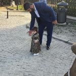 Ugur