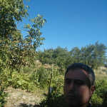 Mustafa