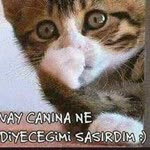 Cüneyt