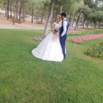 Davut