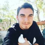Halil