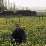 Fazlı