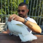 Turgay