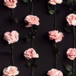 Arzu