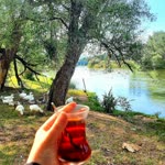 Zeyneb