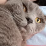 Esma