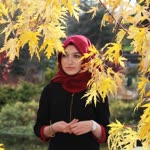 Neşe