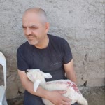 Mustafa