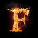 Arif