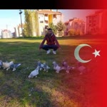 Alper