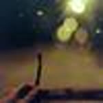 Erdal