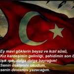 Şahin