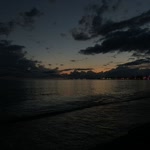 Gül