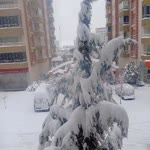 Fatih