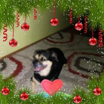 Mico
