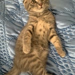 Profil fotoğrafı