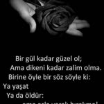 Sabri