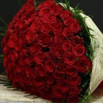 Derya