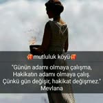Ayse
