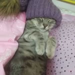 Erkan
